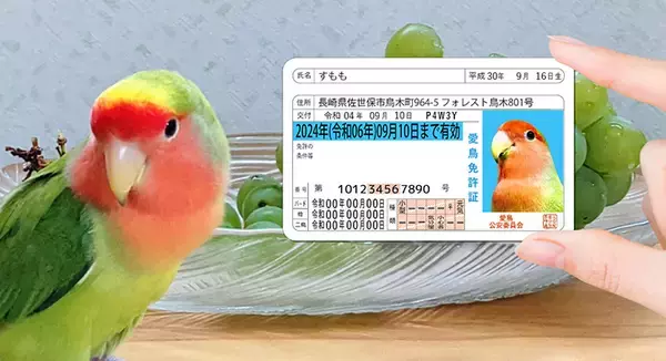 「Pawmy、猫用のオリジナル身分証明書風グッズ「愛猫免許証」をリニューアル発売」の画像