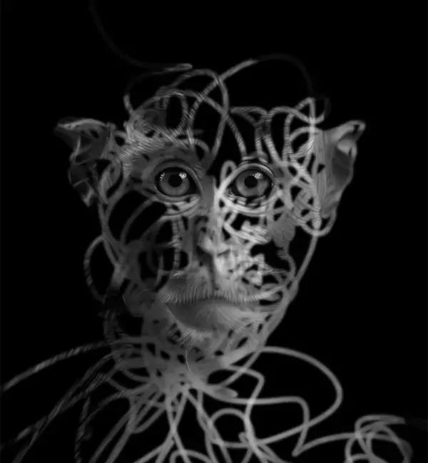 「【Photoshop】ブラシで描かれたラインに浮かび上がるグラフィック（ライン／ブラシ／写真加工）」の画像
