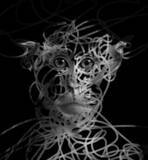 「【Photoshop】ブラシで描かれたラインに浮かび上がるグラフィック（ライン／ブラシ／写真加工）」の画像14