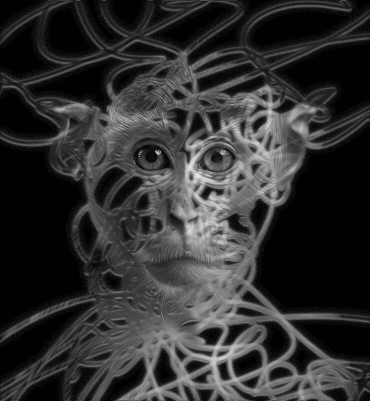 【Photoshop】ブラシで描かれたラインに浮かび上がるグラフィック（ライン／ブラシ／写真加工）