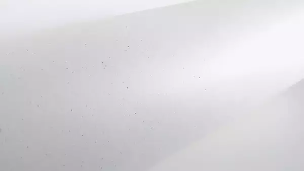 「ペーパル、レモンの剪定枝葉をアップサイクルした「国産レモンペーパー」を開発」の画像