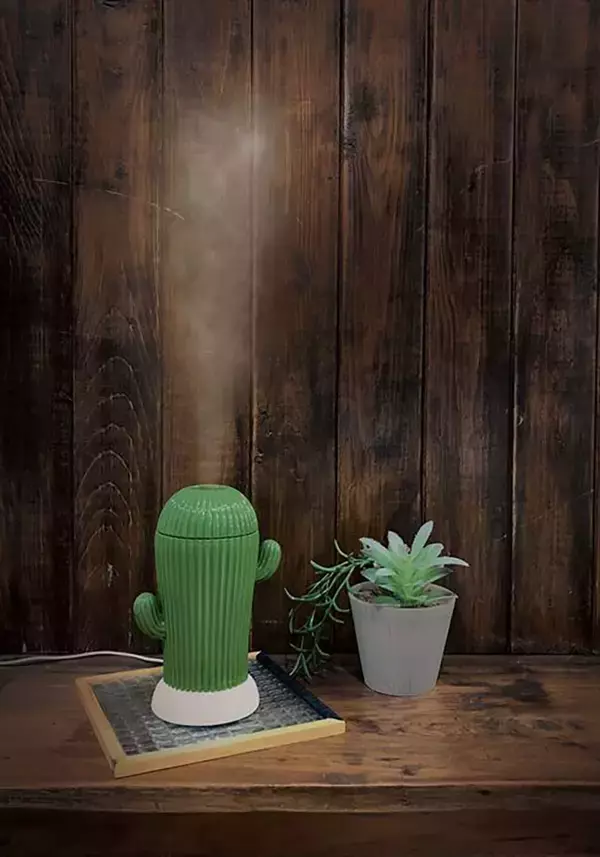 ヴィレヴァン、部屋の湿度を保てるサボテン型のUSB加湿器を発売
