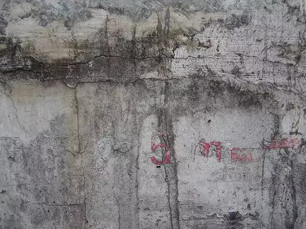 「アート性の高い雰囲気のあるグラフィック」の画像