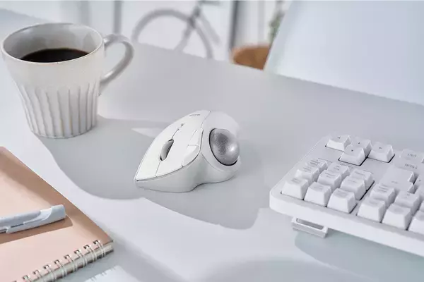 「エレコム、グループ従業員が選んだ「使って良かった製品」のランキングを発表」の画像