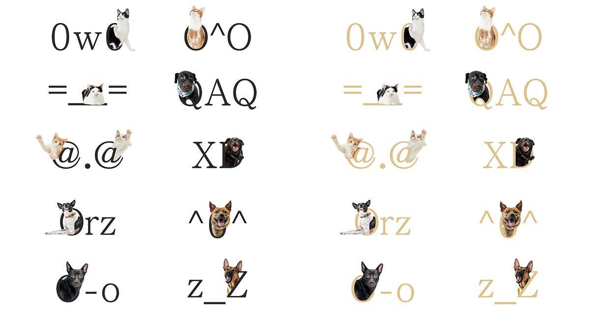 台湾で話題沸騰！ダイナコムウェア、犬のポーズが可愛すぎる「保護犬フォント」の無料配布をスタート