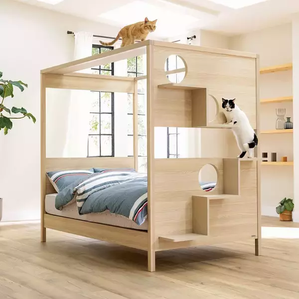 DINOS、猫との暮らしを楽しめる「フランスペット ネコステップ付きベッド」を発売