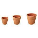 「DINOS、⾼温多湿に弱い植物を育てやすい「底なし植木鉢」を発売」の画像2