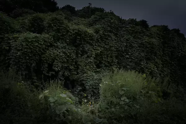 「鉄道写真家・広田尚敬氏の写真展「鉄道写真」がキヤノンギャラリーSで開催」の画像