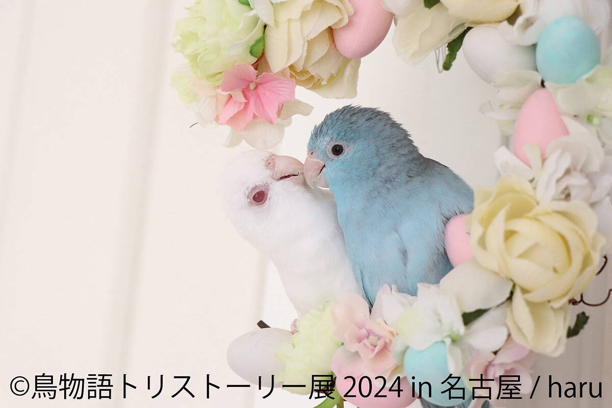 鳥に特化した作品展示と物販のイベント「鳥物語トリストーリー展」の2024年版が名古屋で開催