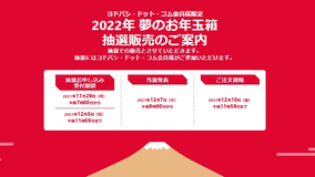 ヨドバシが「夢のお年玉箱」発表。すでにビデオカメラは倍率757倍