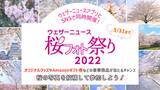 「エリアごとに桜の写真や動画を募集する“ウェザーニュース”アプリの「桜絶景写真コンテスト」」の画像1