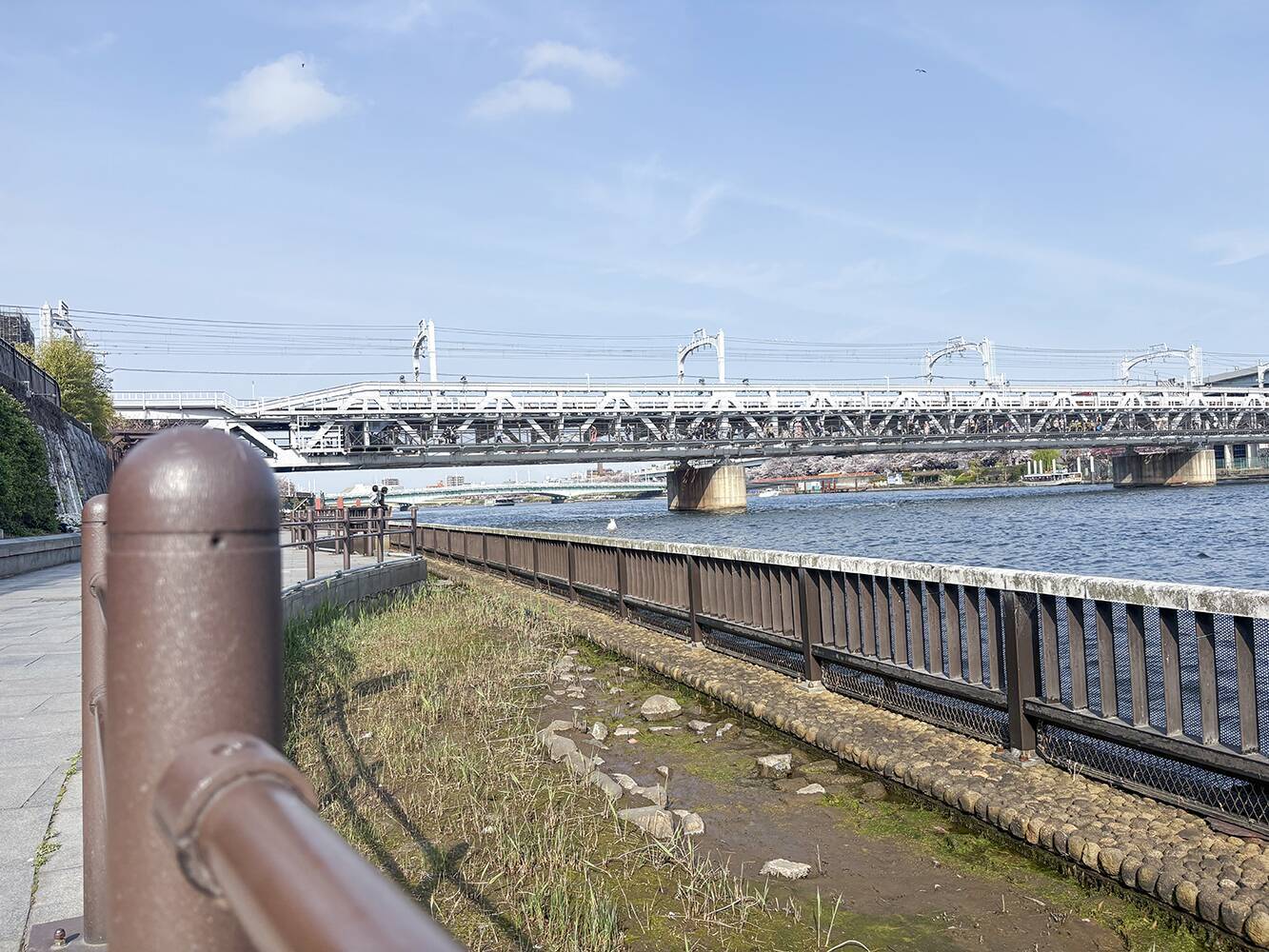 スマホのカメラレンズを一眼レフのように付け替えられる「EXAPRO クリップレンズ」徹底活用術！