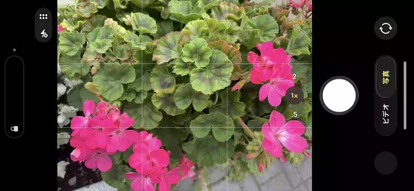 「スマホのカメラレンズを一眼レフのように付け替えられる「EXAPRO クリップレンズ」徹底活用術！」の画像