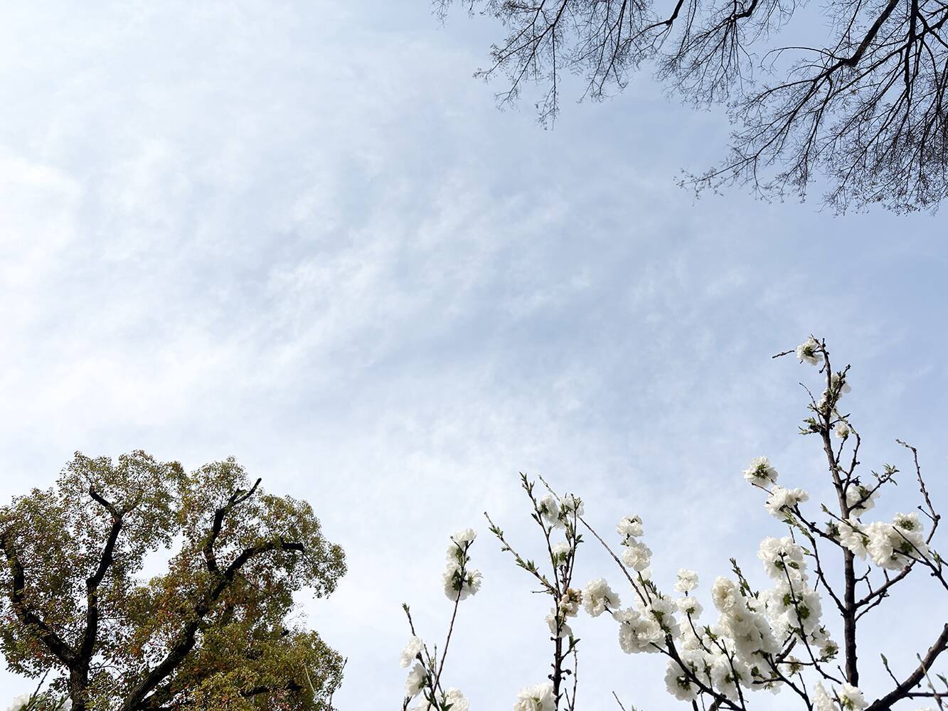 スマホのカメラレンズを一眼レフのように付け替えられる「EXAPRO クリップレンズ」徹底活用術！