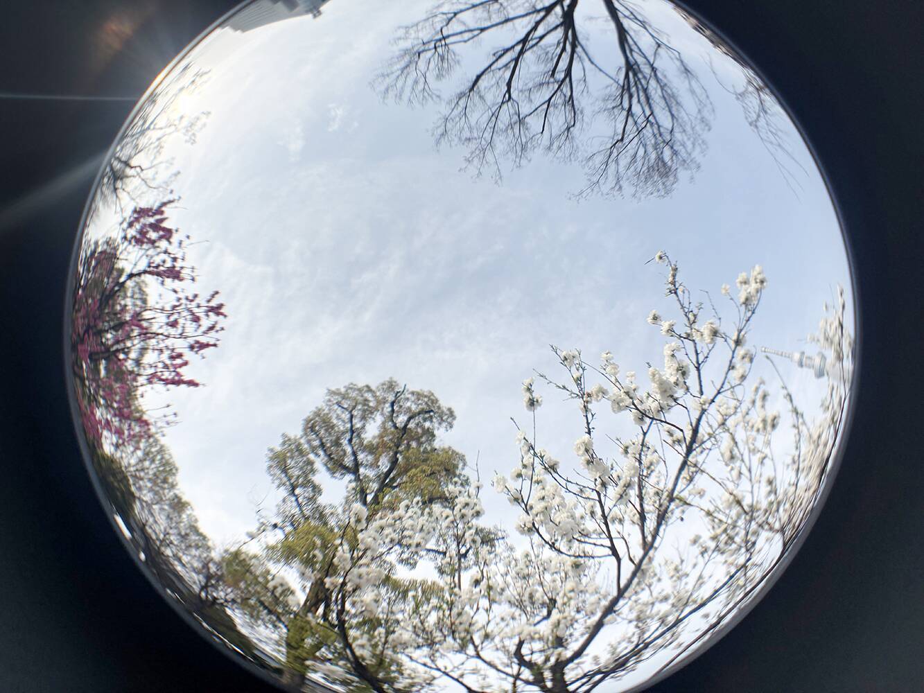 スマホのカメラレンズを一眼レフのように付け替えられる「EXAPRO クリップレンズ」徹底活用術！