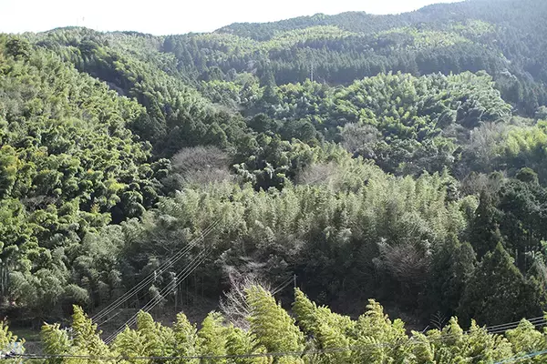 「【Photoshop】文字のエッジを粗く加工してグランジ風ロゴを作る（グランジ／合成／ロゴ）」の画像