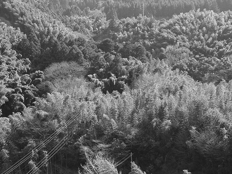 【Photoshop】文字のエッジを粗く加工してグランジ風ロゴを作る（グランジ／合成／ロゴ）