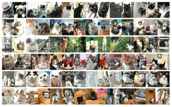 毎年恒例の可愛い猫の写真の一般公募展「大佛次郎×ねこ写真展」が2025年も開催