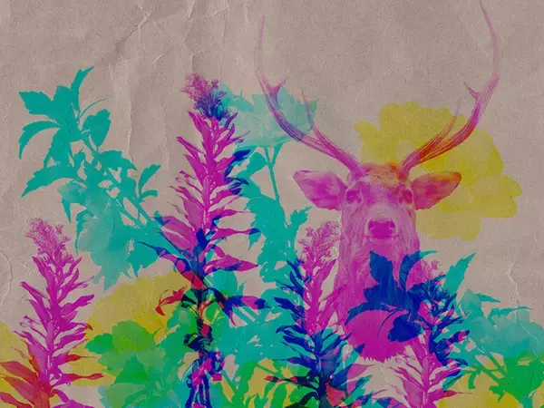 「レトロ印刷風・スタンプ風の表現」の画像