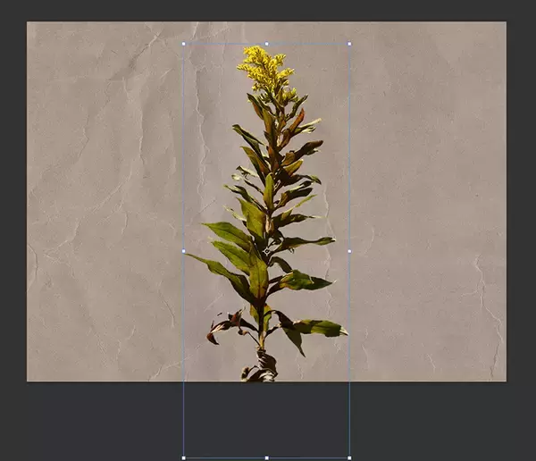 「レトロ印刷風・スタンプ風の表現」の画像