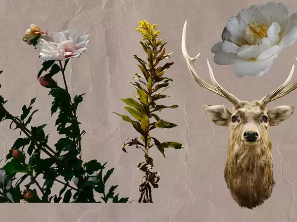 「レトロ印刷風・スタンプ風の表現」の画像