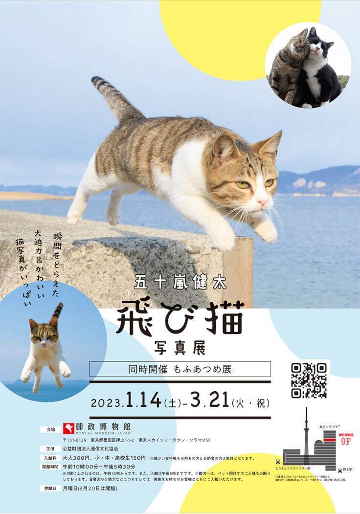 猫がジャンプする瞬間を撮影した作品で人気の五十嵐健太氏による「飛び猫写真展」