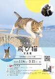 「猫がジャンプする瞬間を撮影した作品で人気の五十嵐健太氏による「飛び猫写真展」」の画像2