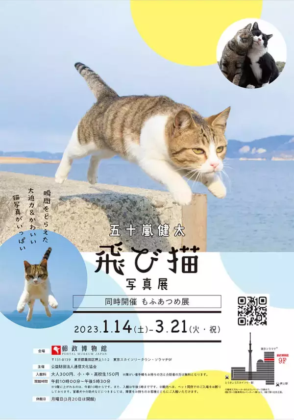 「猫がジャンプする瞬間を撮影した作品で人気の五十嵐健太氏による「飛び猫写真展」」の画像