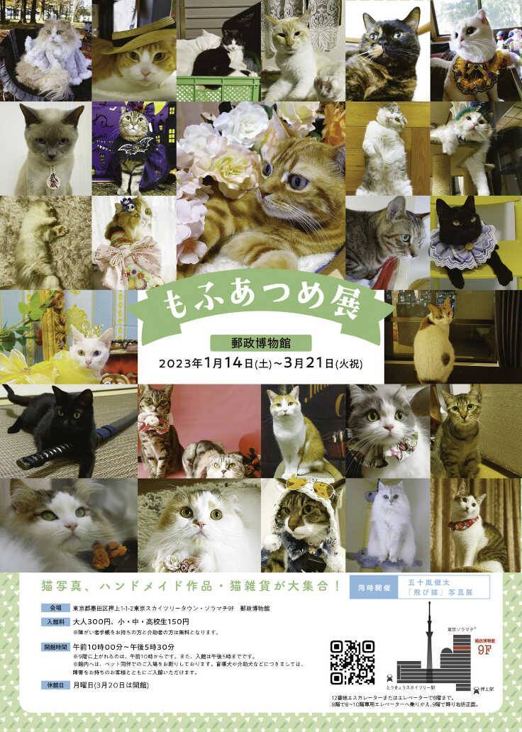 猫がジャンプする瞬間を撮影した作品で人気の五十嵐健太氏による「飛び猫写真展」