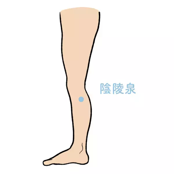 「ふくらはぎは第二の心臓！日々の“脚のむくみ”対策は、脾系のマッサージとツボ押しがおすすめ」の画像