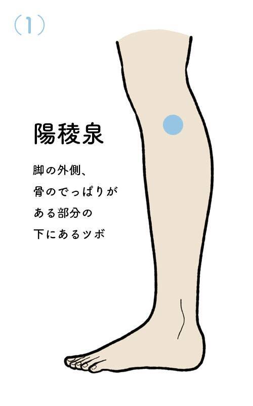 【人間関係でストレスを感じたときにおすすめのツボ】気の巡りをよくしてモヤモヤを解消！陽陵泉など、脚＆足のツボ押し