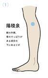「【人間関係でストレスを感じたときにおすすめのツボ】気の巡りをよくしてモヤモヤを解消！陽陵泉など、脚＆足のツボ押し」の画像2