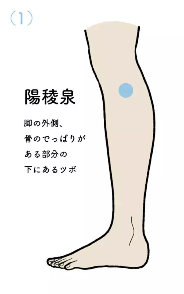「【人間関係でストレスを感じたときにおすすめのツボ】気の巡りをよくしてモヤモヤを解消！陽陵泉など、脚＆足のツボ押し」の画像