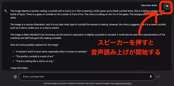 「Google生成AIのBardが画像の使用に対応、写真の内容を解析できるか検証する」の画像