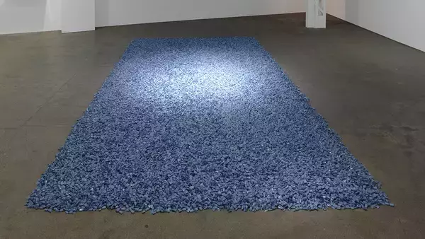 「モネの没後100年とポーラ美術館の開館25周年を記念した「あたらしい目 ― モネと21世紀のアート」展」の画像