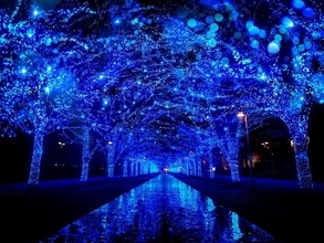 渋谷で幻想的な“青の世界”に浸る「青の洞窟 SHIBUYA」巨大雪だるまの新演出も、12月25日まで