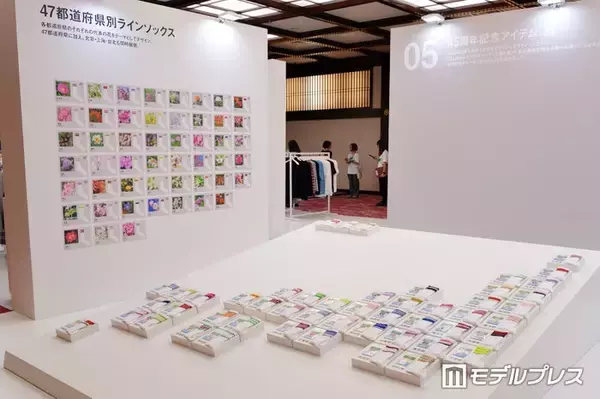 ファミマ、47都道府県別ソックス展開へ 「コンビニエンスウェア」初のペットアイテムも