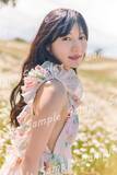 「日向坂46河田陽菜、花畑でシフォンドレス纏う 2nd写真集特典ポストカード第1弾公開【テイクオフ】」の画像1