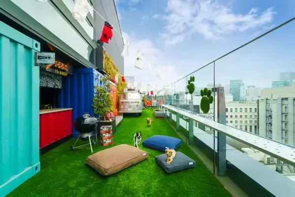 屋上ドッグラン併設のBBQビアガーデン、アロフト東京銀座で開催 昼夜で異なる楽しみ提案