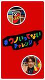 「Snow Man向井康二、ドヤ顔＆好きな人への照れ顔など多彩な「ウノいってない！」披露 普段の姿垣間見える瞬間も」の画像1