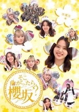 櫻坂46「そこさく」Blu-ray第3弾決定 “卒業生編”含む5タイトル発表【内容一覧】