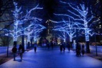 横浜最大級イルミ「ヨコハマミライト2025」街一帯を彩るサスティナブルな光と多彩な連動イベント