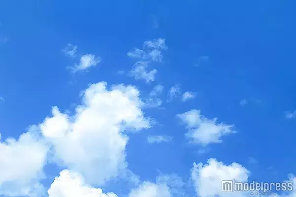 「探偵！ナイトスクープ」公式が23日放送内容に声明発表 “ヤングケアラー問題”と物議