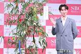 「Snow Man渡辺翔太、意外な七夕の願い事告白「ハプニングが起きまして」」の画像1