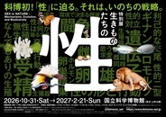 国立科学博物館、初の“性”テーマの特別展「生きものたちの性」人気クリエイターともタッグ