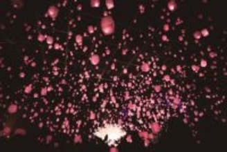 東京・新宿に桜色ランタンが舞う！「花見灯夜2026」幻想空間に酔いしれる花見イベント