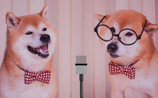 ザ 細かすぎて伝わらないモノマネ 終わった番組の特番をすぐにやってはいけない 18年11月26日 エキサイトニュース