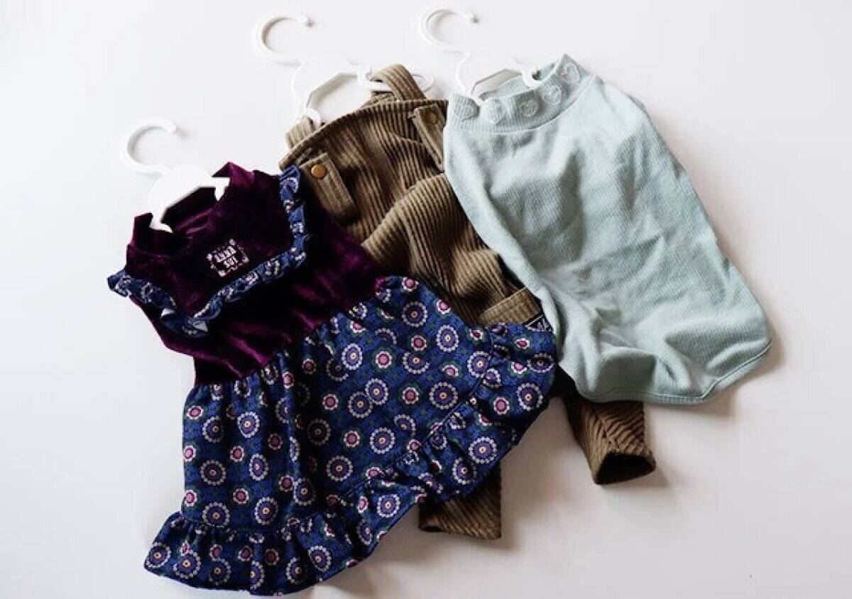 100均で見つけて震えた…！「もう専門店行かなくなりそう」手頃に買えてありがたいお得商品