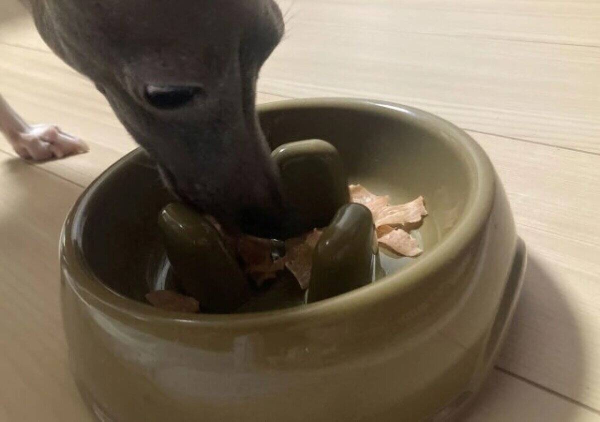 100均で見つけて震えた…！「もう専門店行かなくなりそう」手頃に買えてありがたいお得商品