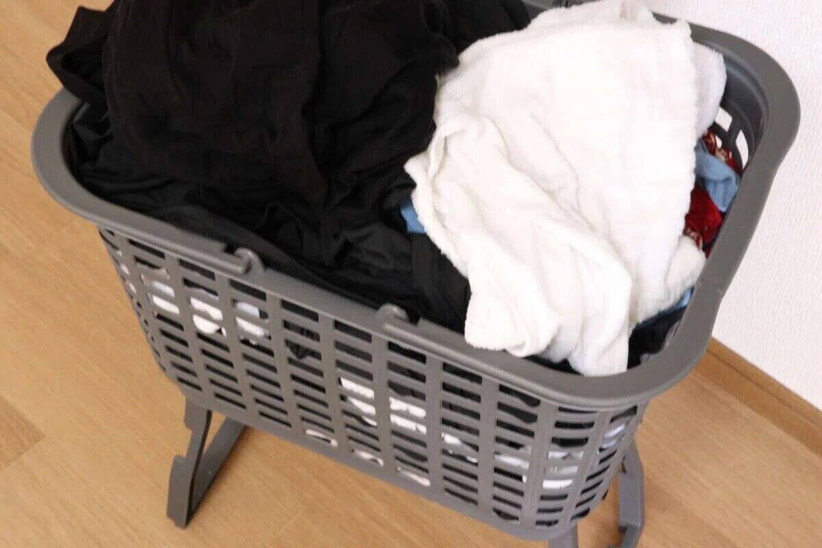 100均で見かけて飛びついた！ニトリなら倍くらいはしそう…！マニア溺愛収納グッズ